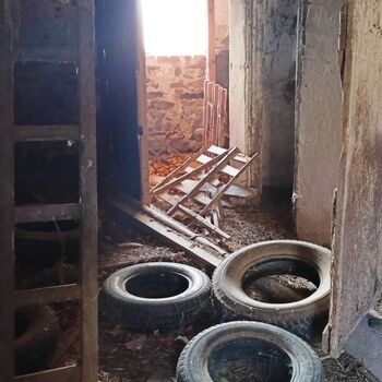 sheepfold - dead animals