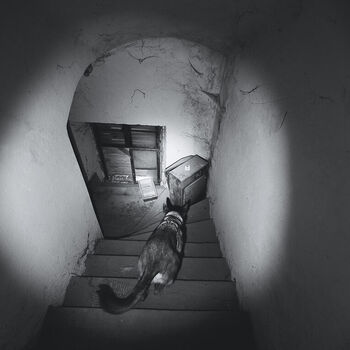 Zapomenuté stavení