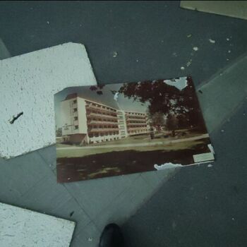 Die Schönheit der österreichischen hor🇦🇹🏔️❤️ Die Schönheit der österreichischen hor🇦🇹🏔️❤️