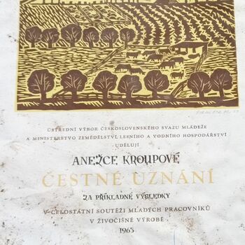 Spitzenschiff 9z10ti...