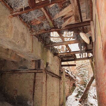 Schalenminen Schalenminen