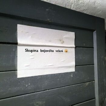 Ein Welpe mit Rüssel