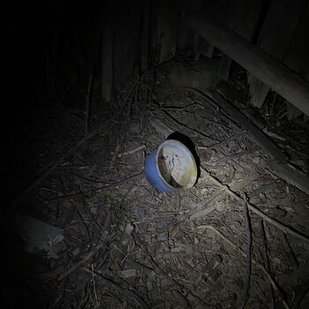 Opuštěný statek 2025