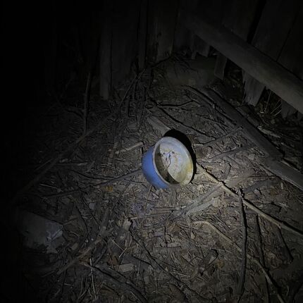 Opuštěný statek 2025