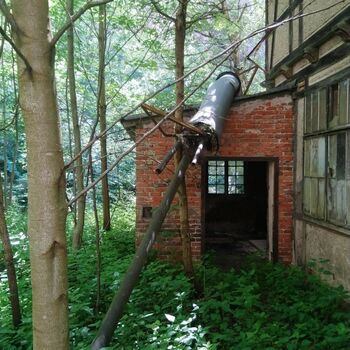 řetězová pila motorovou pilou nářadí