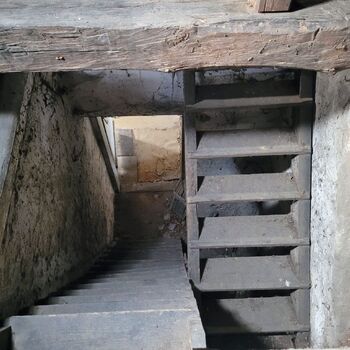 🐕‍🦺POZOR BAD DOG