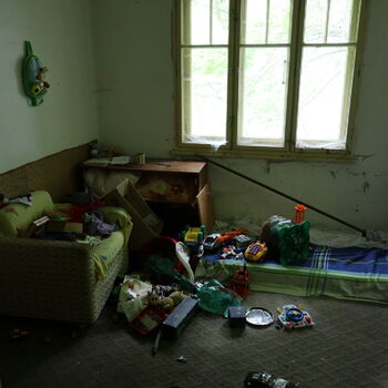 Chaloupka v Sudetech I.