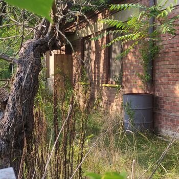 Haus von H.Z 🌿🪴🏚️ Haus von H.Z 🌿🪴🏚️