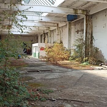 Production plant 2023 Production plant 2023