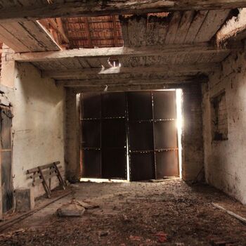 Pepper 2023 Pepper 2023