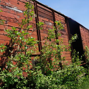 skleníkové budova struktura