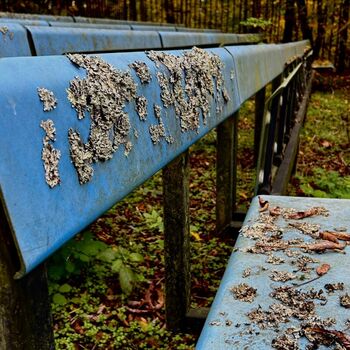 ᴀʙᴀɴᴅᴏɴᴇᴅ ꜱᴜᴍᴍᴇʀ ᴄɪɴᴇᴍᴀ