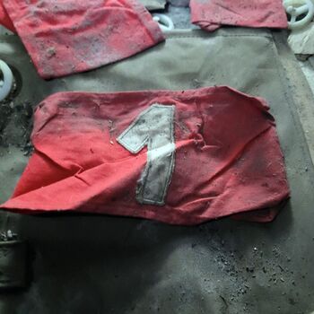 Ein Welpe mit Rüssel