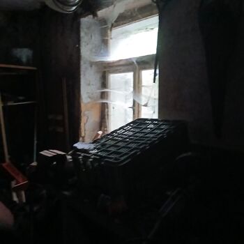 Homestead with a pond