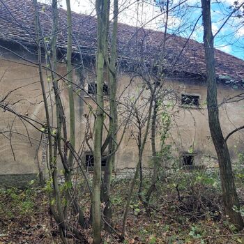 🏰Ein Schloss in Schwierigkeiten. Mit einem großen Keller.