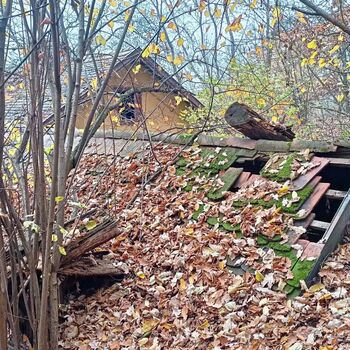 Vechtrovny - Koukni na video..