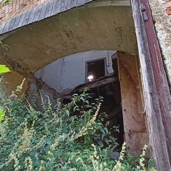 pivovar - koukni na video..