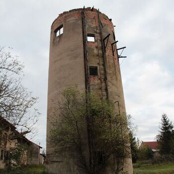 Pepper 2023 Pepper 2023