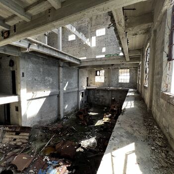 Kamenolom Corsica 2023