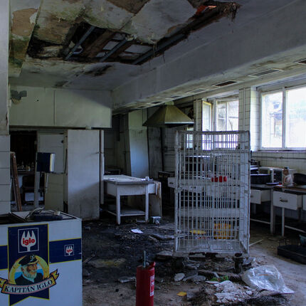 Mould for lunch Mould for lunch