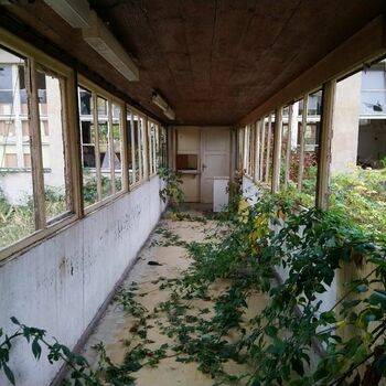 struktura budova skleníkové dům