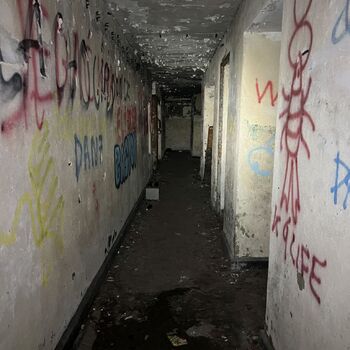 Cannons and bunkers Poland 2025