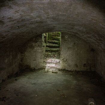 Landwirtschaftliche Fläche