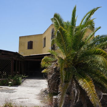 kokos Palm strom tropické pláž gymnosperm obloha ráj vascular plant Dovolená ostrov