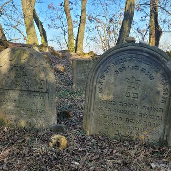 Burial Ground Burial Ground