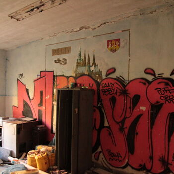 VEGA Group VEGA Group