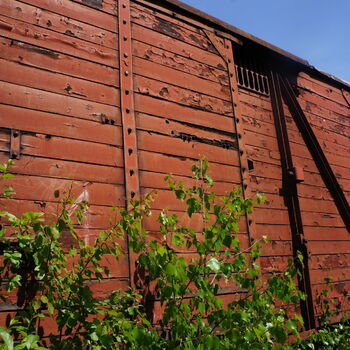 budova skleníkové struktura zeď Architektura