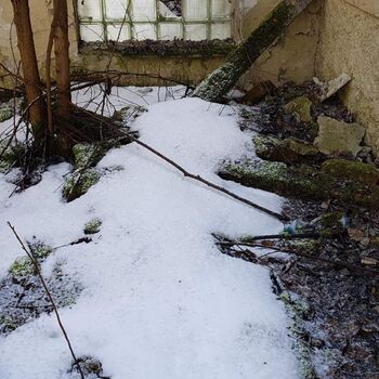 Urbex - Pension R.....