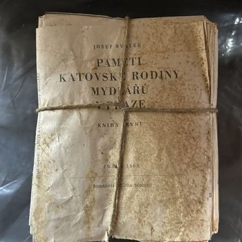 ᴅᴏᴍᴇᴋ ꜱ 🗡️