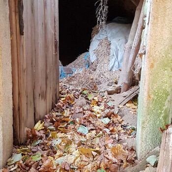 Urbex - Mühle bei V.......🐺🐺🐺🐺🐺🐺 Urbex - Mühle bei V.......🐺🐺🐺🐺🐺🐺