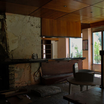 Schimmel für das Mittagessen