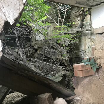 Cottage in the field