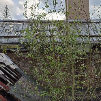 Sluneční lázně 2023