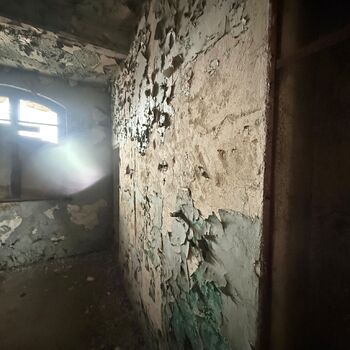 Kde holubi chodí pěšky