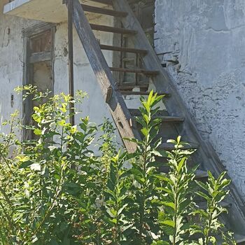 Abandoned House 2022