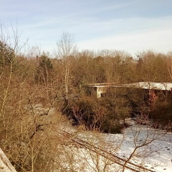 krajina strom stopa krajina strom stopa