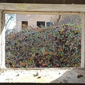 Kravin 2022 Kravin 2022