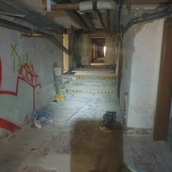 cell basement architecture