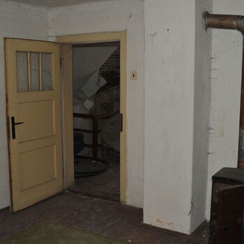 A grove in the Sudetenland.