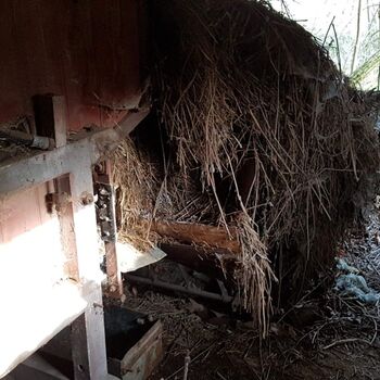 Urbex - Mühle bei V.......🐺🐺🐺🐺🐺🐺 Urbex - Mühle bei V.......🐺🐺🐺🐺🐺🐺