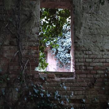 Bohnický hřbitov bláznů 🕯️🗝️🪦