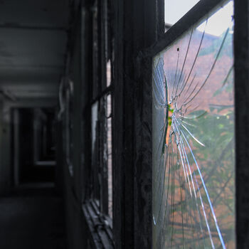 Pomalu mizející železárny Pomalu mizející železárny