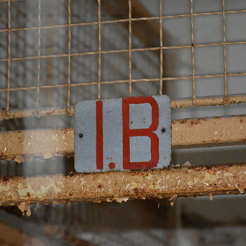 Verlassene Schule 🇨🇿