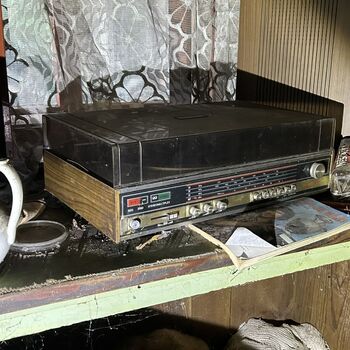 ᴅᴏᴍᴇᴋ ꜱ 🗡️