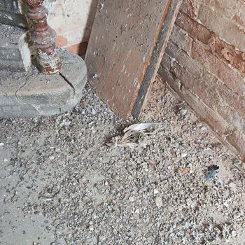 Bahnhof Jihlava Stadt_2024 Bahnhof Jihlava Stadt_2024