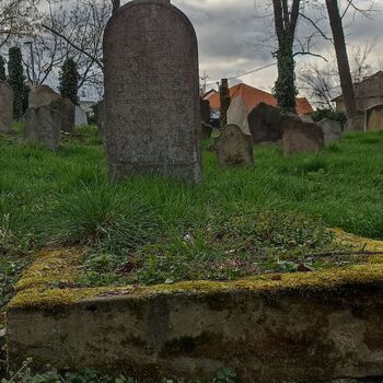 Jüdischer Friedhof 2024